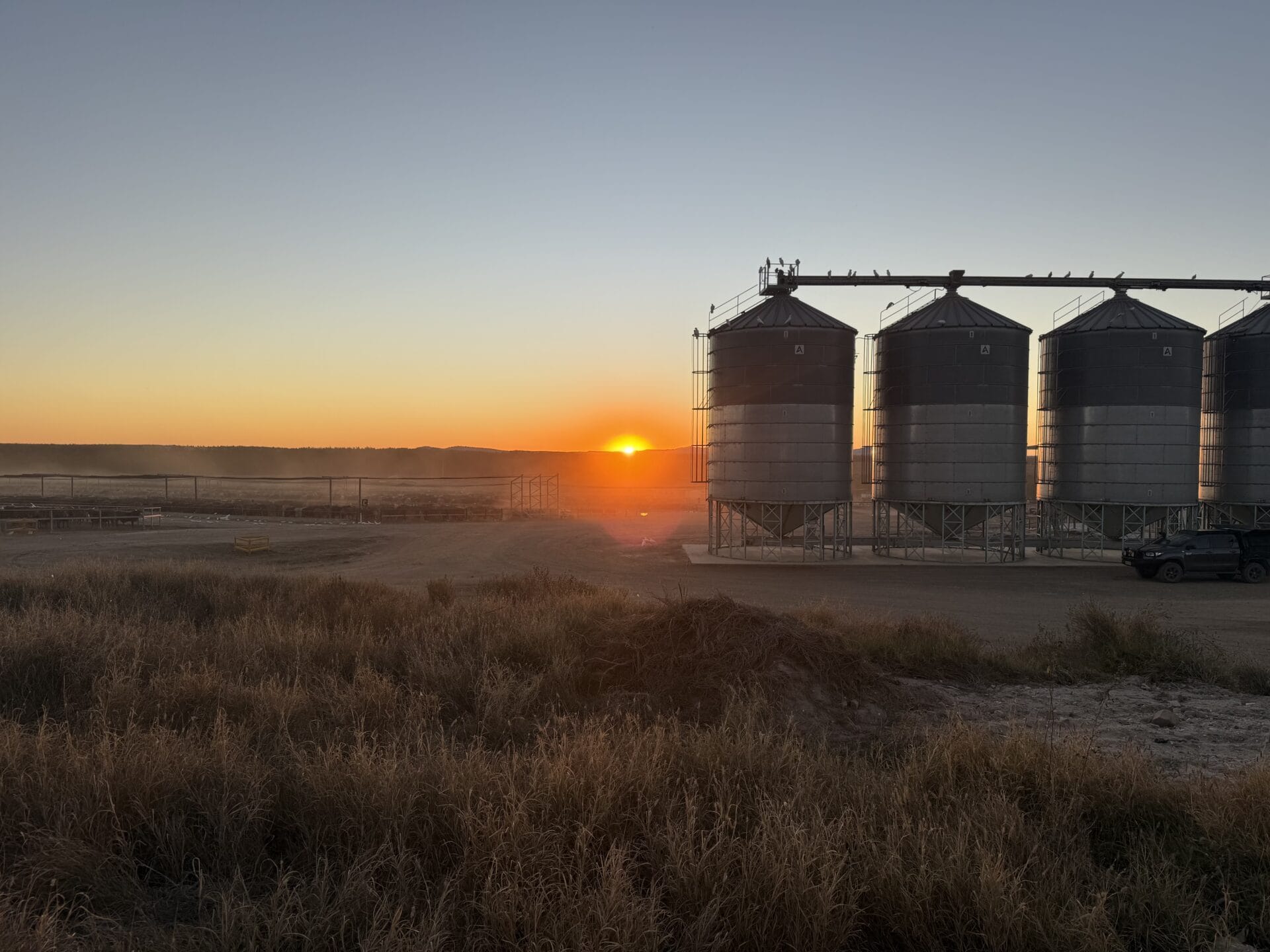 Agricultural silos in a rural landscape at sunrise